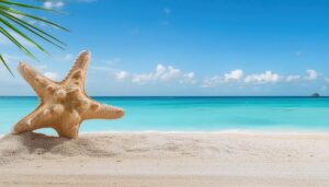 ヒトデとヤシの葉と海