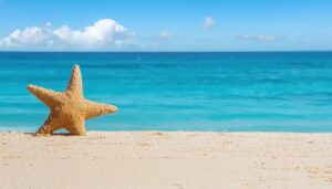 ヒトデと青い海