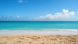 砂浜と穏やかな海