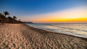 夕焼けのビーチとヤシの木