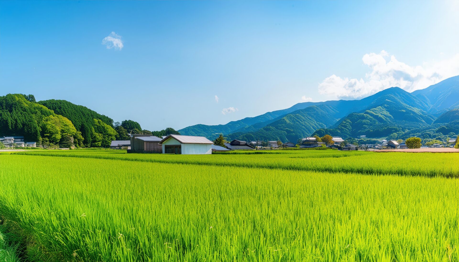 青空と田園風景