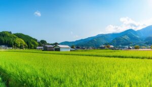 青空と田園風景