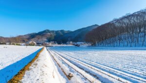 雪の田園風景と青空