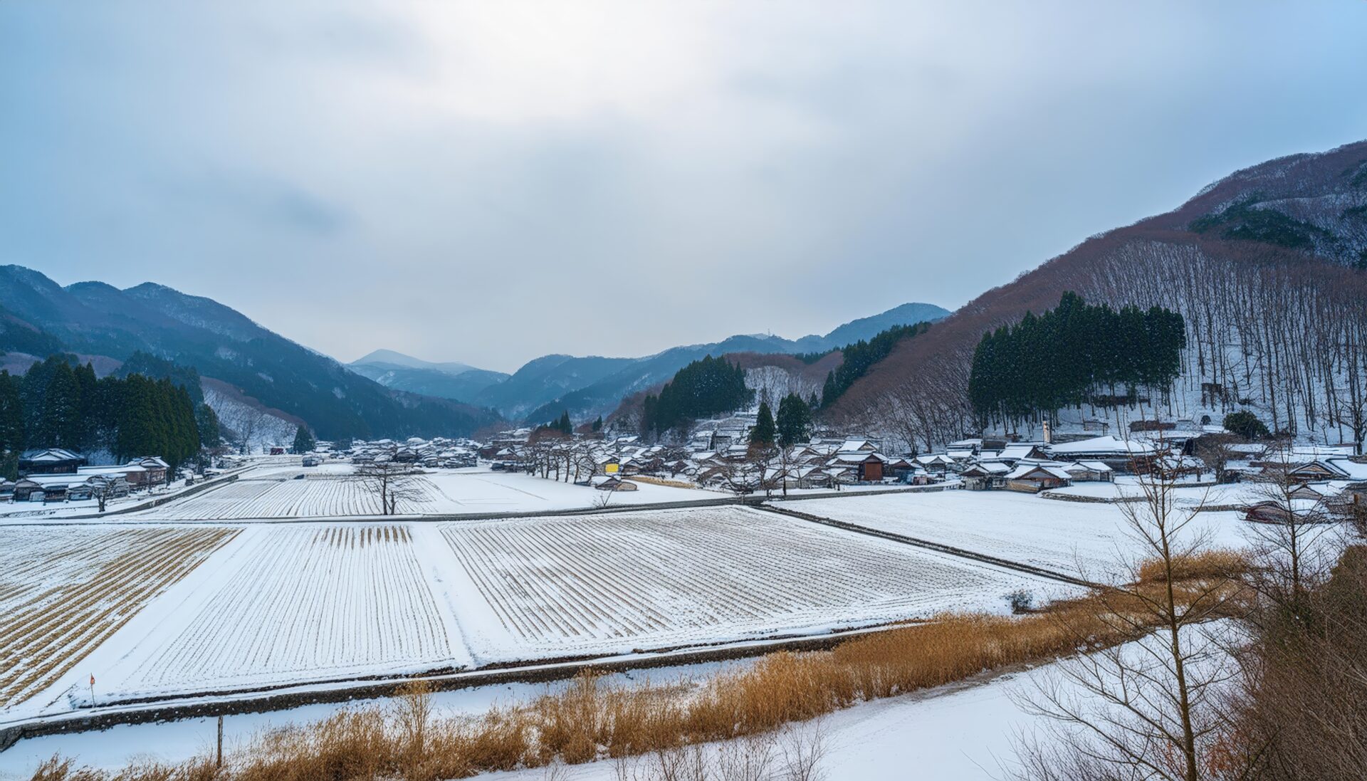 冬の田園と静かな村