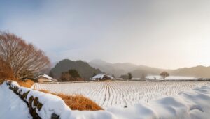 雪の棚田と農家の家