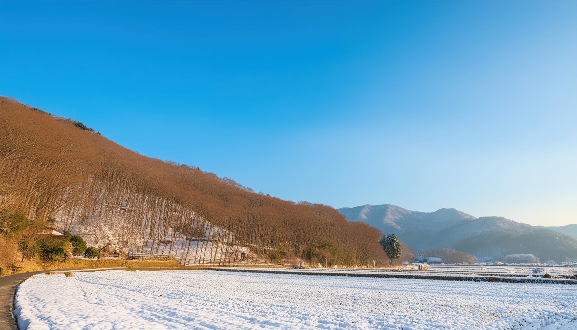 冬の里山と青空