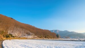 冬の里山と青空