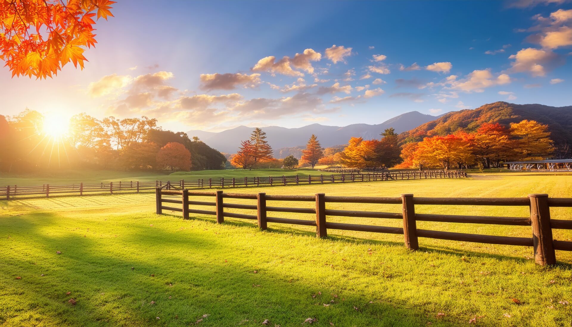 秋の牧場の朝日