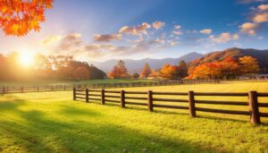 秋の牧場の朝日