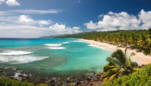 トロピカルビーチ