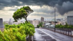 強風による都市の被害