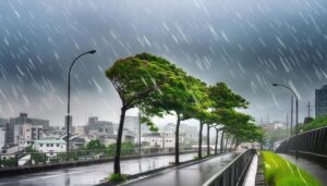 台風直撃の都市部