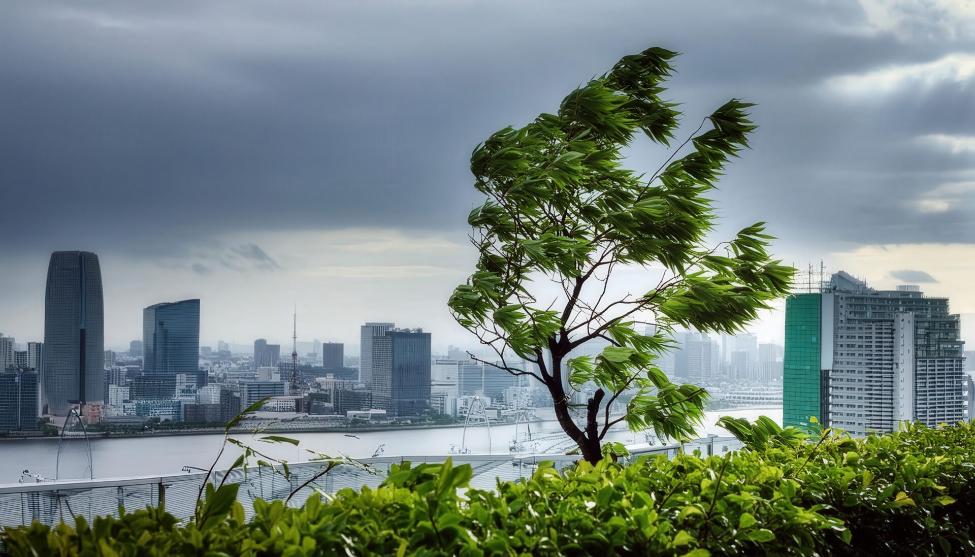 高層ビル群と台風接近