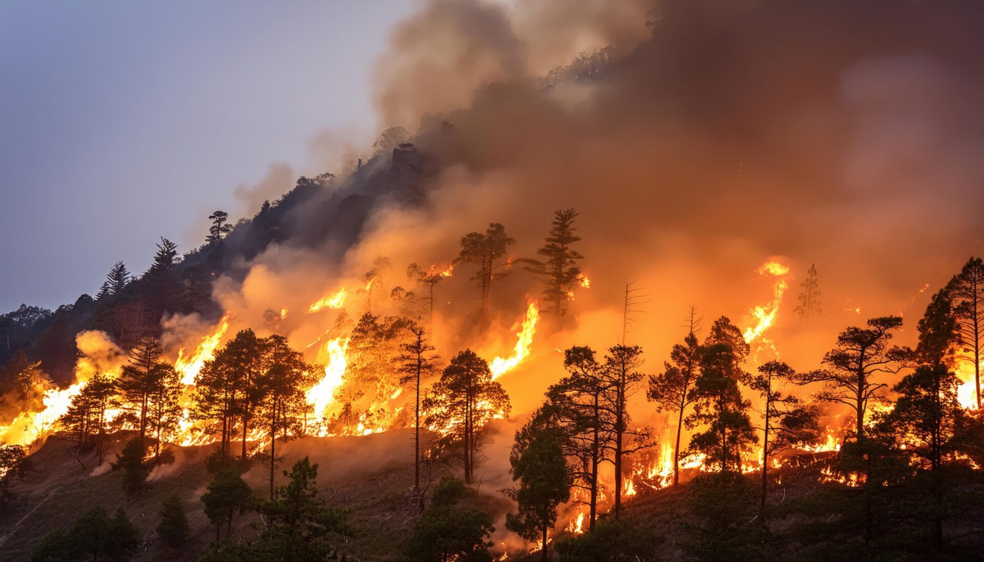 森林火災が山を包む
