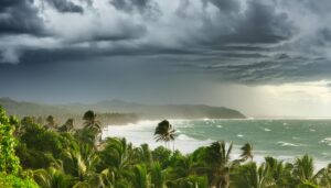 荒れる熱帯の海岸線