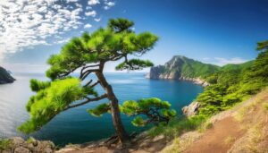 松と断崖の海景色