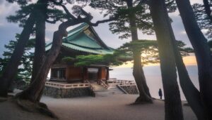 海沿いの神社と松林