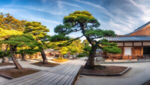 日本庭園と松の木