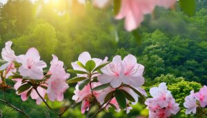 ツツジと新緑の森