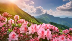 ツツジと緑の山