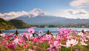 コスモスと富士山と湖
