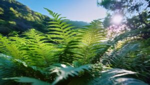 青空とシダ植物