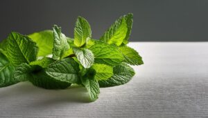 白いテクスチャ背景に置かれたミントの枝葉