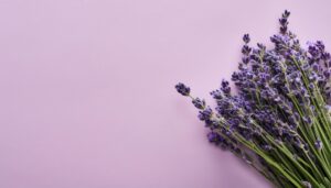 ラベンダーの花束とピンク背景