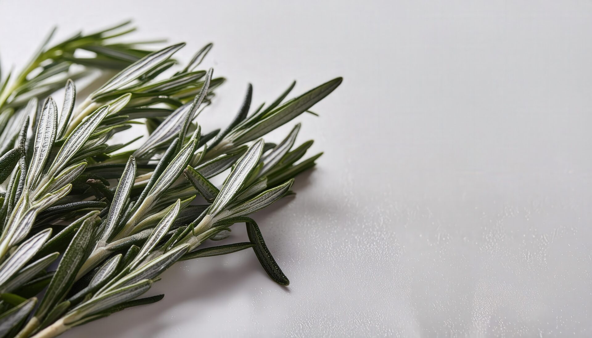 白いテーブルのローズマリー