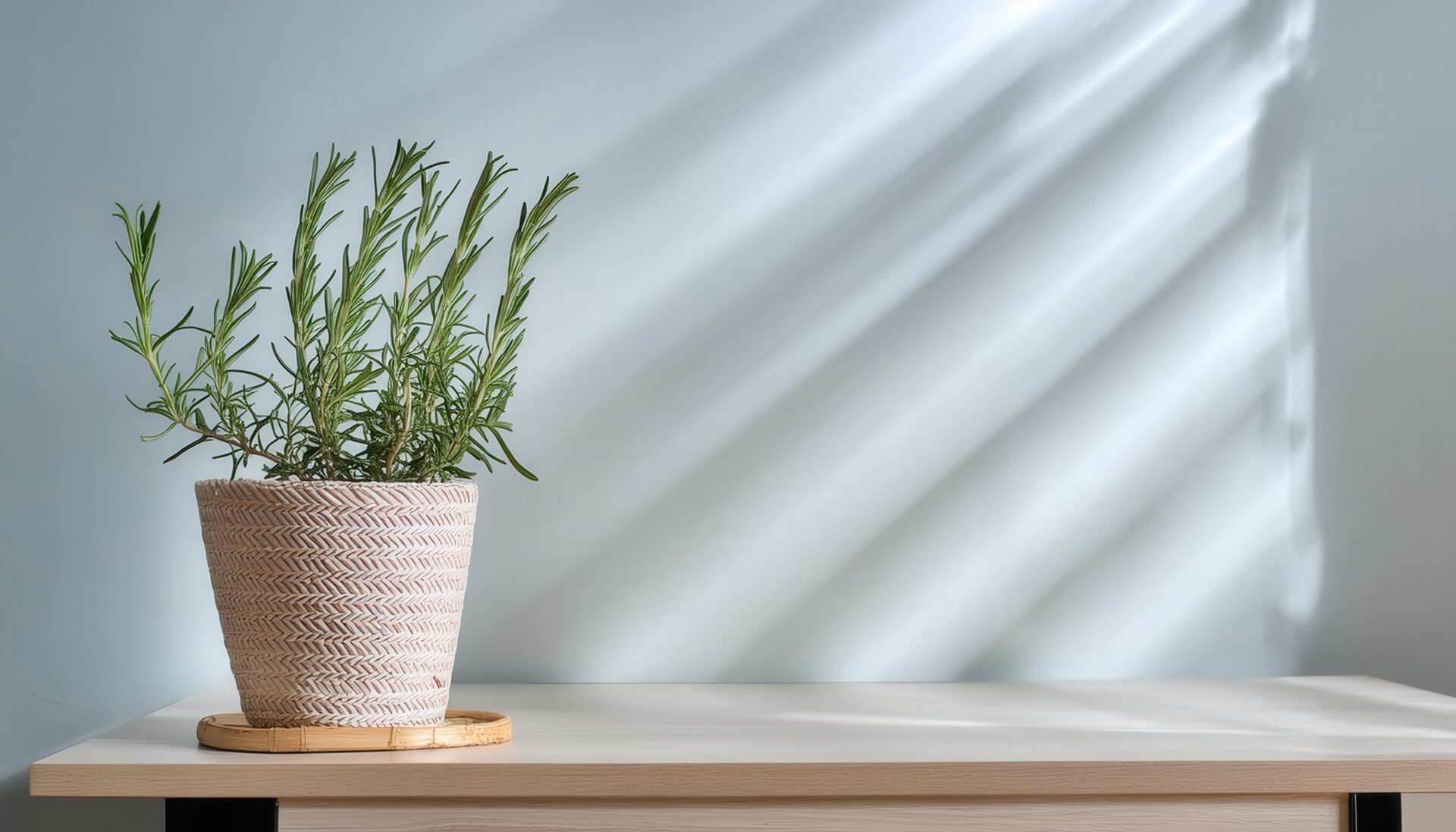 木のテーブルに置かれた籠の鉢植えローズマリー