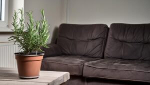 茶色のソファとローズマリー鉢植え