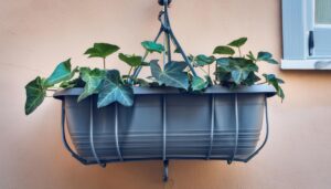 アイビーハンギングプランター
