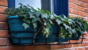 レンガの壁に掛けたアイビー