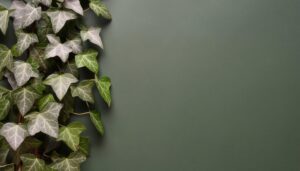 緑色背景に垂れるアイビーの葉