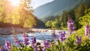 山間の川辺に咲く紫色の花