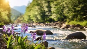 渓流沿いに咲く山の花