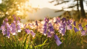 草原に咲くベル型の花