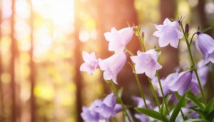 森の中のベルフラワー