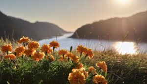夕焼けとマリーゴールド
