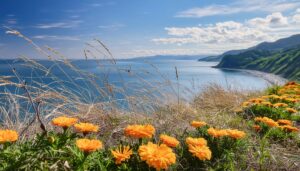 崖沿いのマリーゴールドと青い海