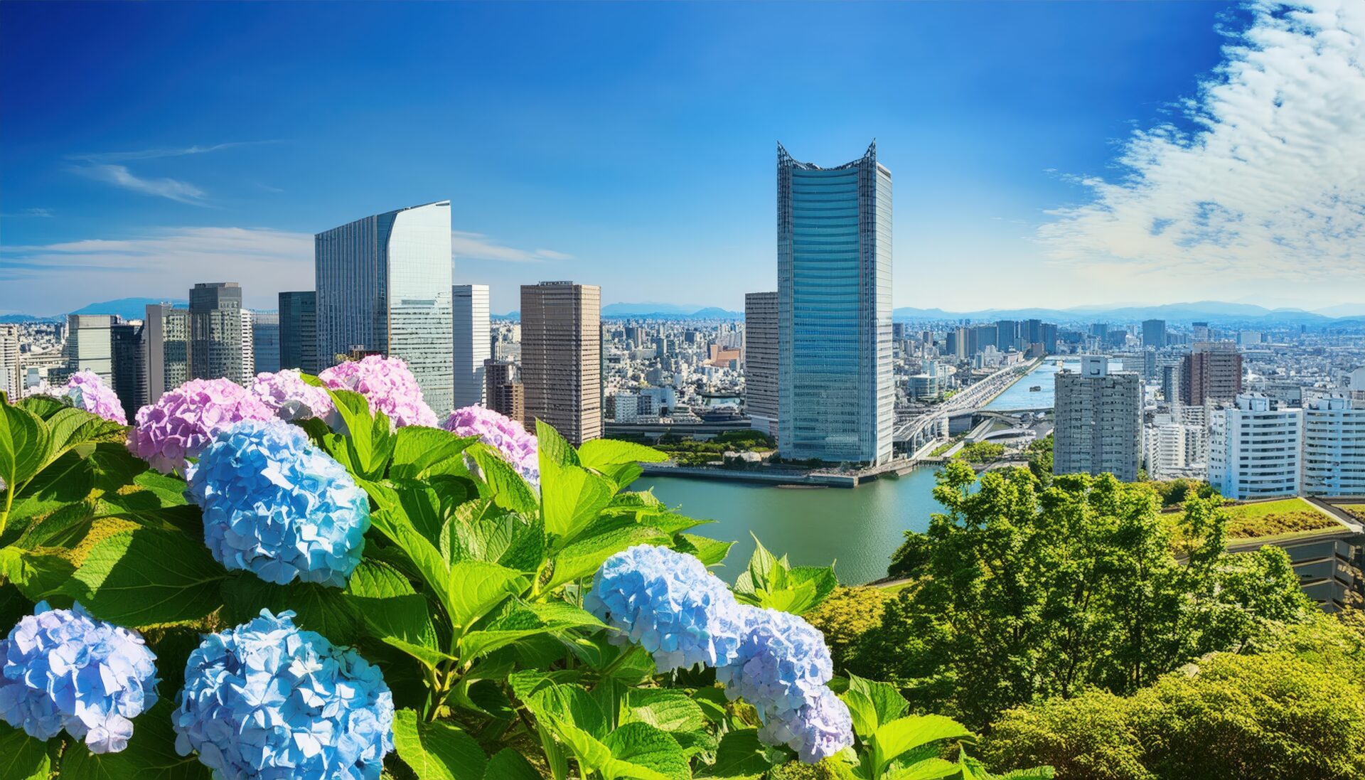 古い街並みと紫陽花