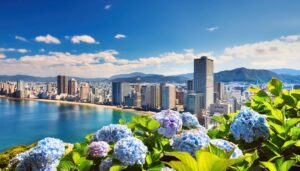 商店街と紫陽花