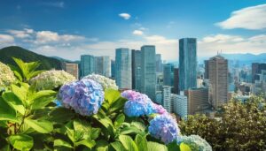 紫陽花と都市の眺望