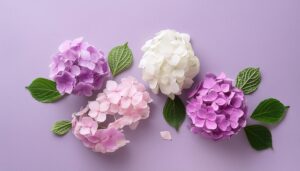 紫陽花と都市と山