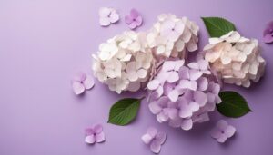 横浜の都市景観と紫陽花