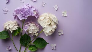 山と都市と紫陽花