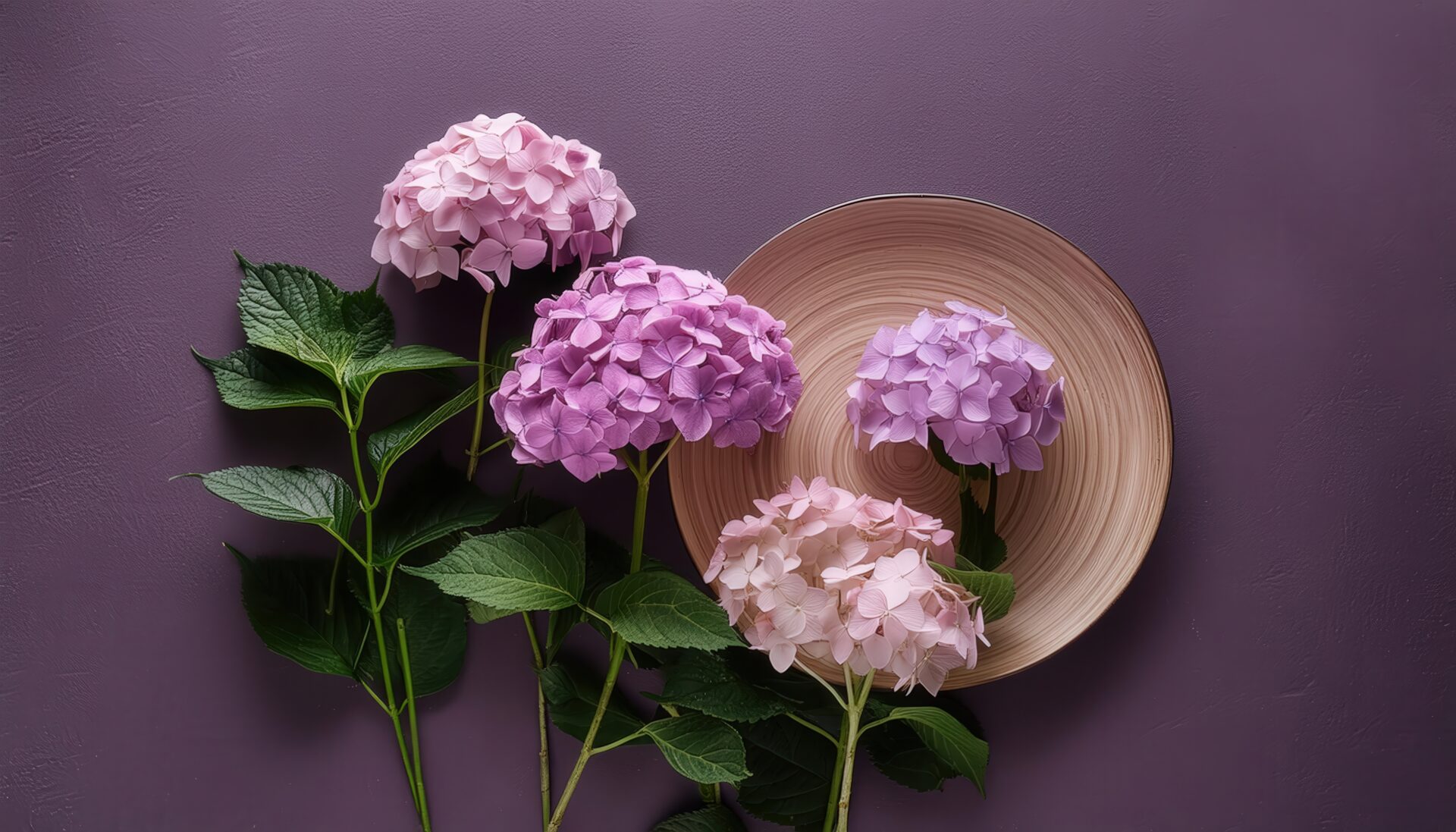 紫陽花のフラットレイ