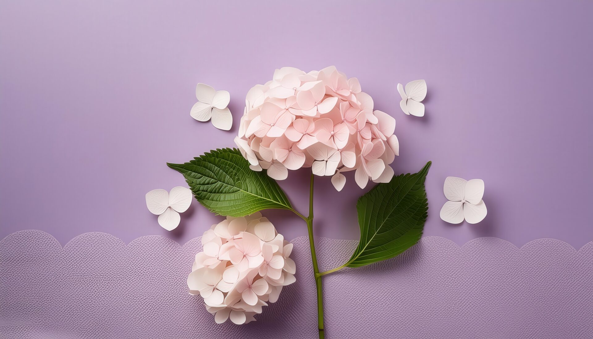 紫陽花と帽子の構図