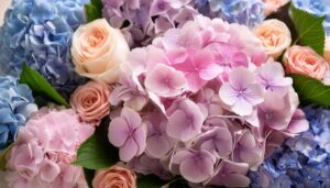 紫陽花のクローズアップ