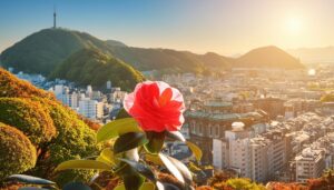 街を見下ろす椿の花